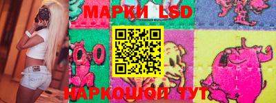 дмт Бердск