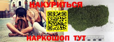дмт Бердск
