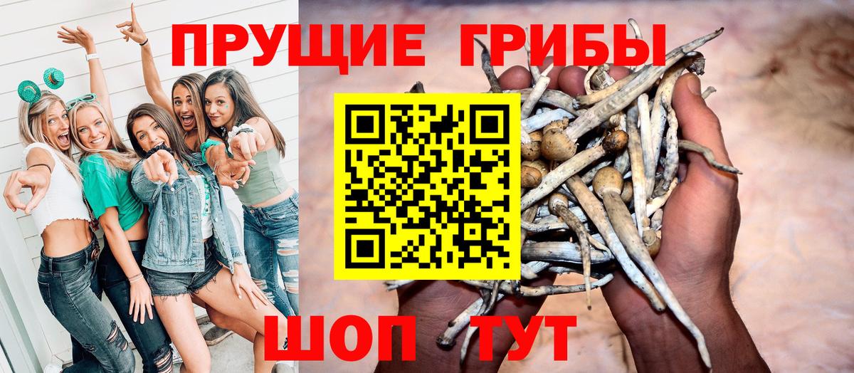 Галлюциногенные грибы MAGIC MUSHROOMS  Вход с VPN  Кыштым 